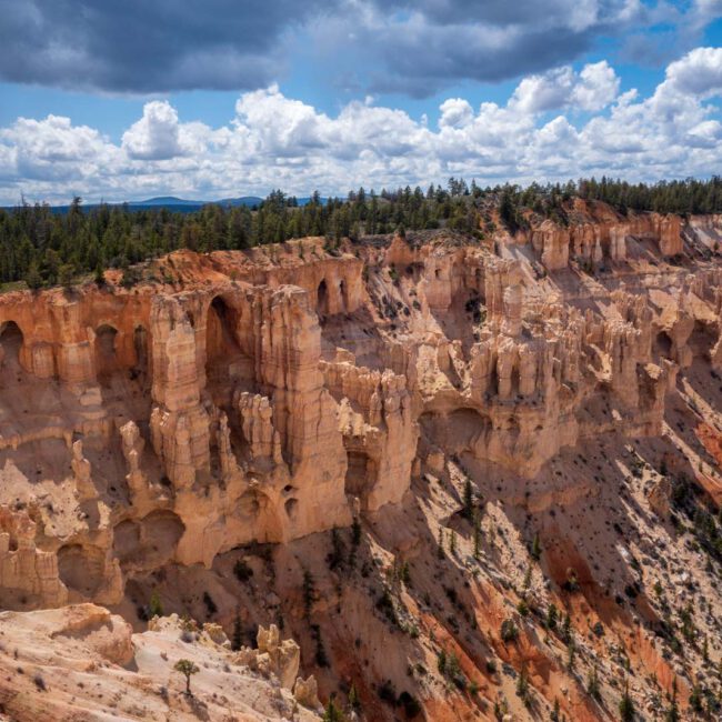 Bryce Canyon NP, Holidays, Southwest, Süd-Westen, USA, Urlaub, Vereinigte Staaten