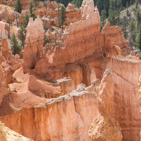 Bryce Canyon NP, Holidays, Southwest, Süd-Westen, USA, Urlaub, Vereinigte Staaten