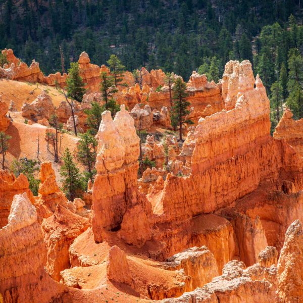 Bryce Canyon NP, Holidays, Southwest, Süd-Westen, USA, Urlaub, Vereinigte Staaten