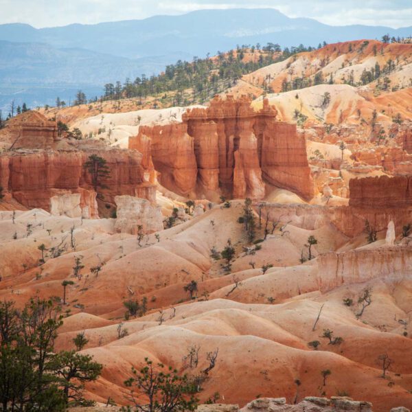 Bryce Canyon NP, Holidays, Southwest, Süd-Westen, USA, Urlaub, Vereinigte Staaten