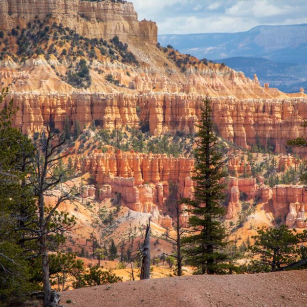 Bryce Canyon NP, Holidays, Southwest, Süd-Westen, USA, Urlaub, Vereinigte Staaten