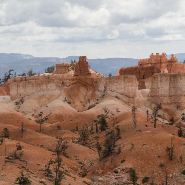 Bryce Canyon NP, Holidays, Southwest, Süd-Westen, USA, Urlaub, Vereinigte Staaten