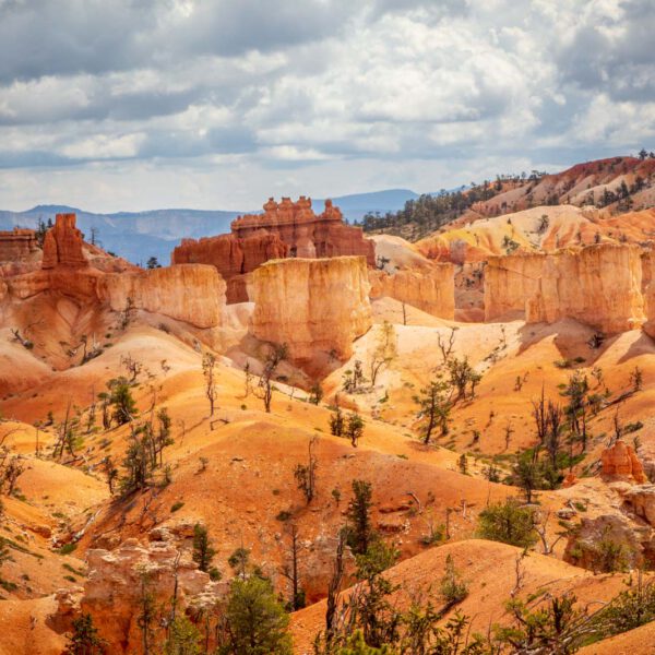 Bryce Canyon NP, Holidays, Southwest, Süd-Westen, USA, Urlaub, Vereinigte Staaten