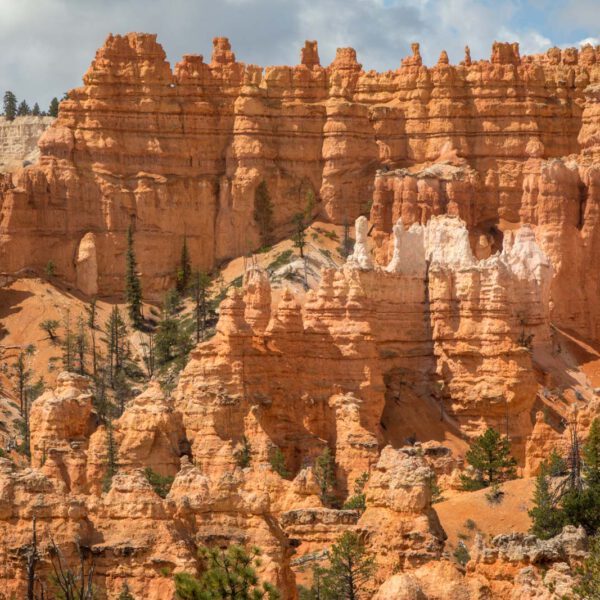 Bryce Canyon NP, Holidays, Southwest, Süd-Westen, USA, Urlaub, Vereinigte Staaten