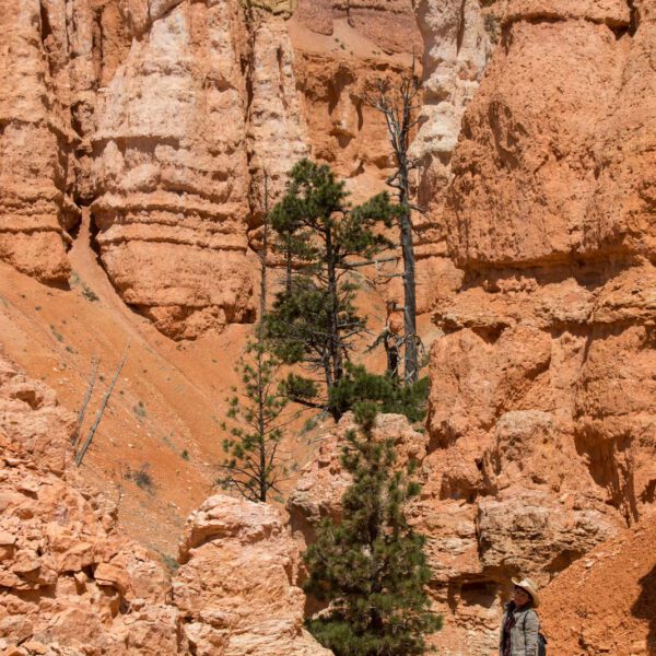 Bryce Canyon NP, Holidays, Southwest, Süd-Westen, USA, Urlaub, Vereinigte Staaten