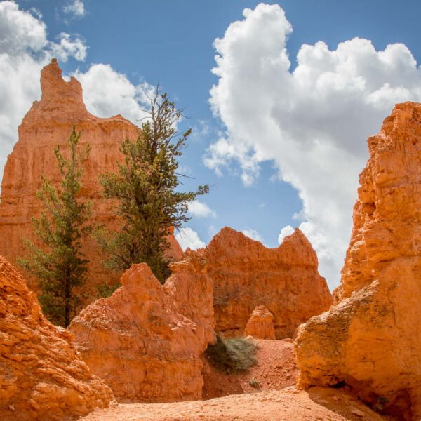 Bryce Canyon NP, Holidays, Southwest, Süd-Westen, USA, Urlaub, Vereinigte Staaten