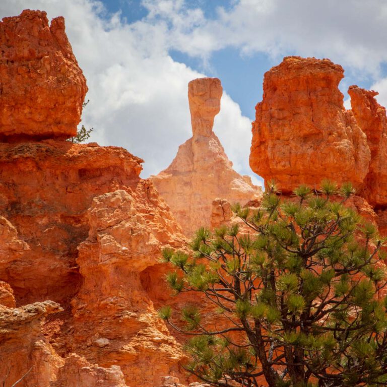 Bryce Canyon NP, Holidays, Southwest, Süd-Westen, USA, Urlaub, Vereinigte Staaten