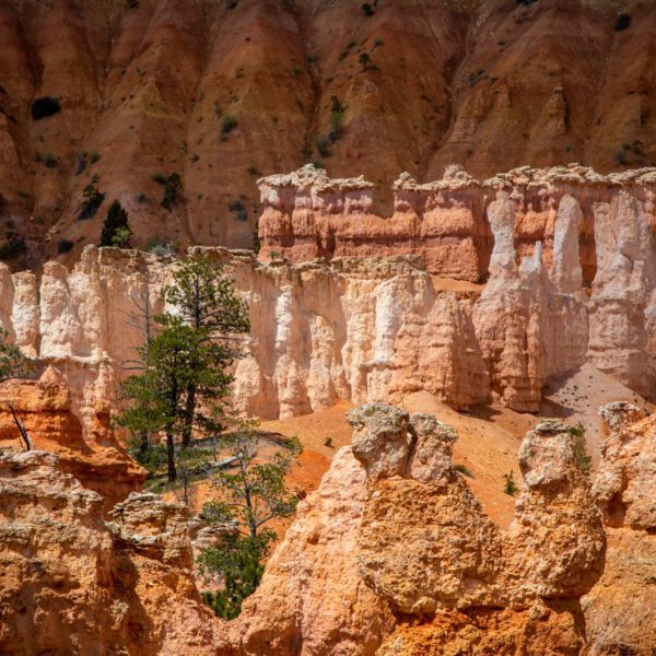 Bryce Canyon NP, Holidays, Southwest, Süd-Westen, USA, Urlaub, Vereinigte Staaten