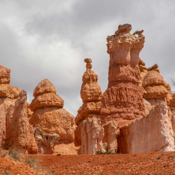 Bryce Canyon NP, Holidays, Southwest, Süd-Westen, USA, Urlaub, Vereinigte Staaten