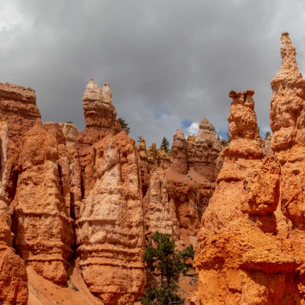 Bryce Canyon NP, Holidays, Southwest, Süd-Westen, USA, Urlaub, Vereinigte Staaten