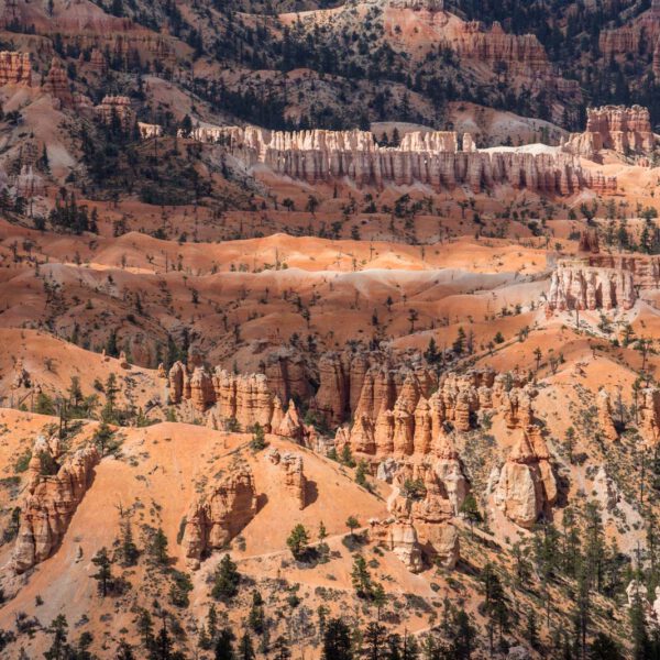 Bryce Canyon NP, Holidays, Southwest, Süd-Westen, USA, Urlaub, Vereinigte Staaten