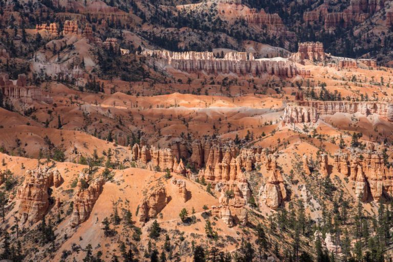 Bryce Canyon NP, Holidays, Southwest, Süd-Westen, USA, Urlaub, Vereinigte Staaten