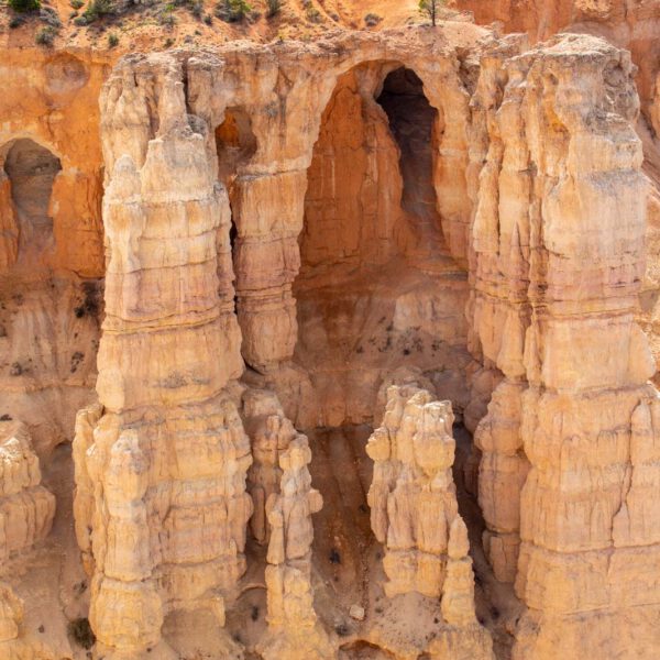 Bryce Canyon NP, Holidays, Southwest, Süd-Westen, USA, Urlaub, Vereinigte Staaten