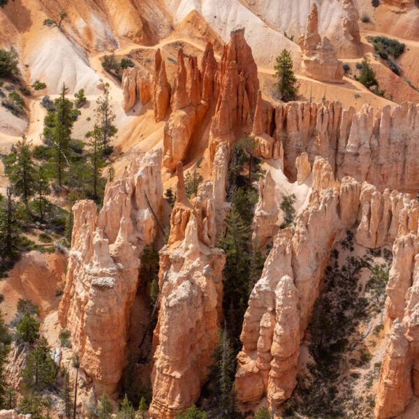 Bryce Canyon NP, Holidays, Southwest, Süd-Westen, USA, Urlaub, Vereinigte Staaten