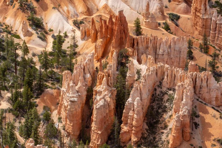 Bryce Canyon NP, Holidays, Southwest, Süd-Westen, USA, Urlaub, Vereinigte Staaten