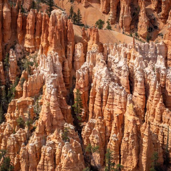 Bryce Canyon NP, Holidays, Southwest, Süd-Westen, USA, Urlaub, Vereinigte Staaten