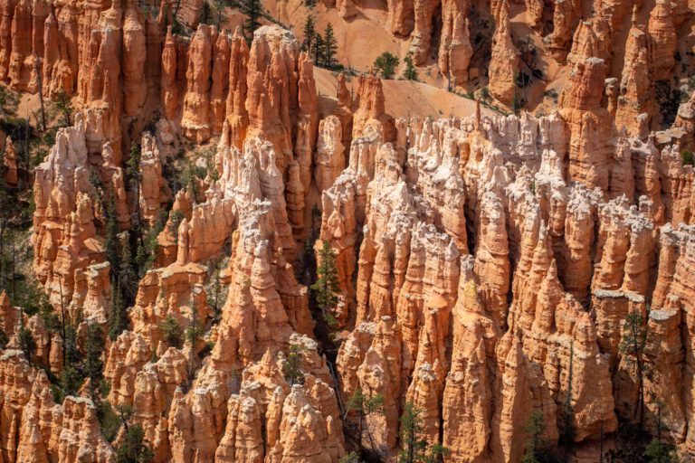 Bryce Canyon NP, Holidays, Southwest, Süd-Westen, USA, Urlaub, Vereinigte Staaten