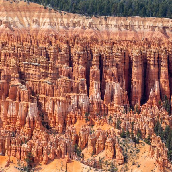 Bryce Canyon NP, Holidays, Southwest, Süd-Westen, USA, Urlaub, Vereinigte Staaten
