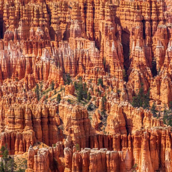 Bryce Canyon NP, Holidays, Southwest, Süd-Westen, USA, Urlaub, Vereinigte Staaten