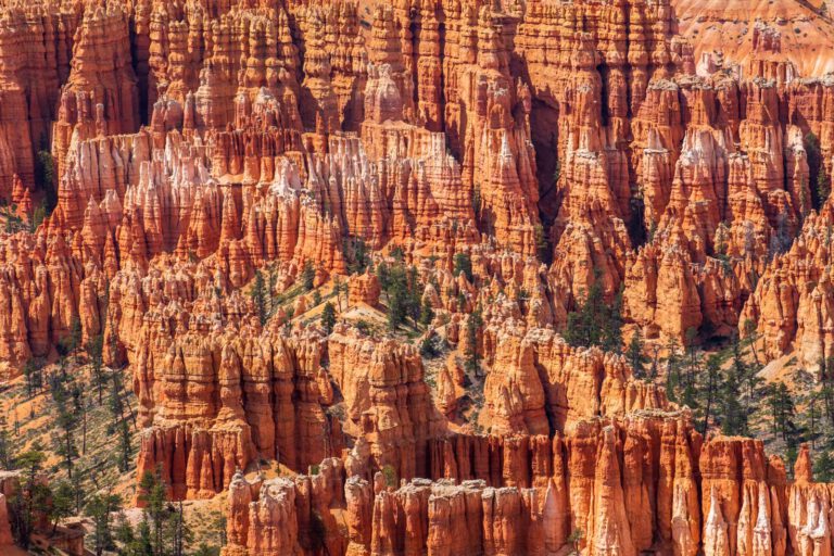 Bryce Canyon NP, Holidays, Southwest, Süd-Westen, USA, Urlaub, Vereinigte Staaten