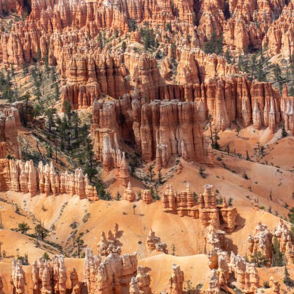 Bryce Canyon NP, Holidays, Southwest, Süd-Westen, USA, Urlaub, Vereinigte Staaten