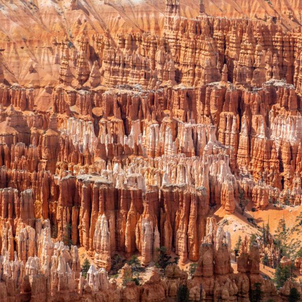 Bryce Canyon NP, Holidays, Southwest, Süd-Westen, USA, Urlaub, Vereinigte Staaten