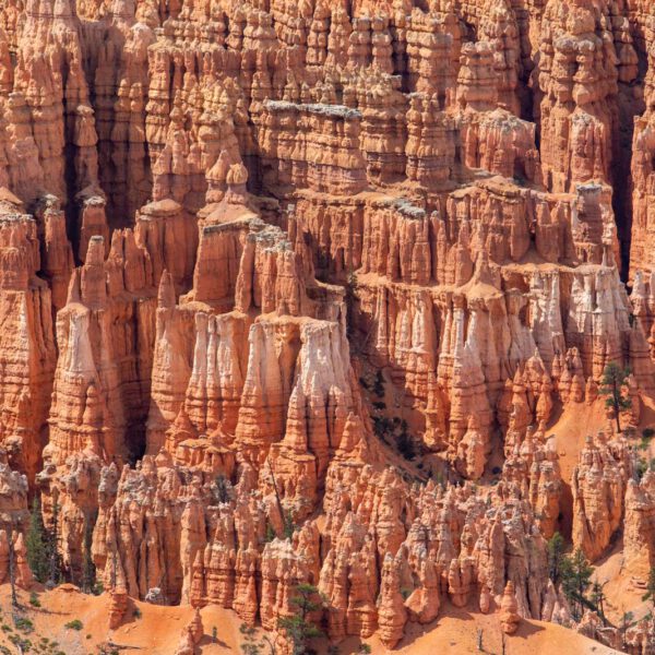 Bryce Canyon NP, Holidays, Southwest, Süd-Westen, USA, Urlaub, Vereinigte Staaten