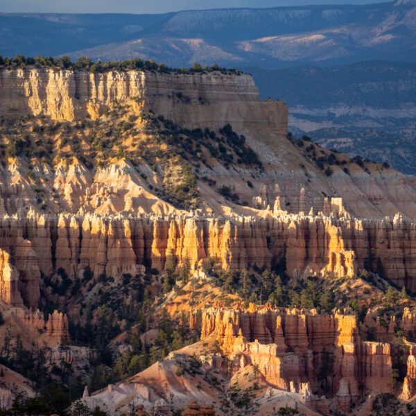 Bryce Canyon NP, Holidays, Southwest, Süd-Westen, USA, Urlaub, Vereinigte Staaten