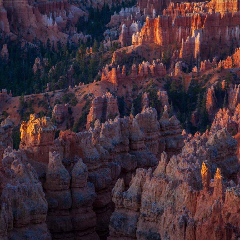 Bryce Canyon NP, Holidays, Southwest, Süd-Westen, USA, Urlaub, Vereinigte Staaten