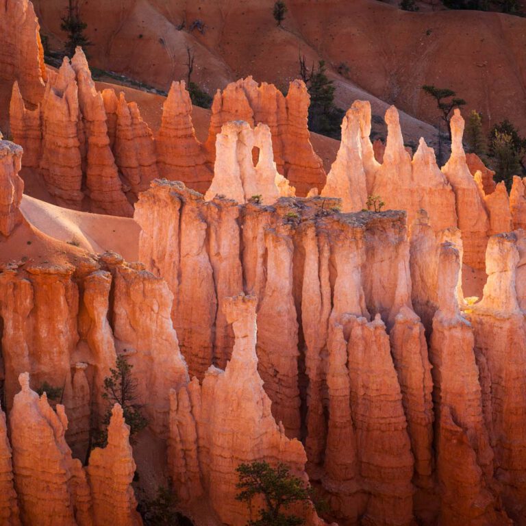 Bryce Canyon NP, Holidays, Southwest, Süd-Westen, USA, Urlaub, Vereinigte Staaten