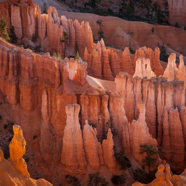 Bryce Canyon NP, Holidays, Southwest, Süd-Westen, USA, Urlaub, Vereinigte Staaten