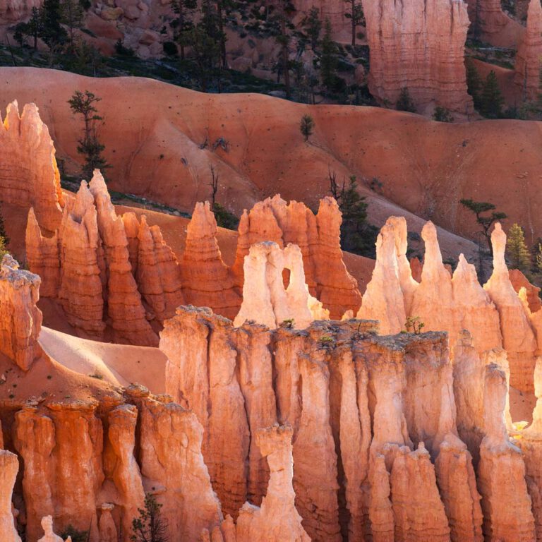 Bryce Canyon NP, Holidays, Southwest, Süd-Westen, USA, Urlaub, Vereinigte Staaten
