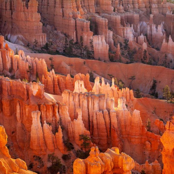 Bryce Canyon NP, Holidays, Southwest, Süd-Westen, USA, Urlaub, Vereinigte Staaten