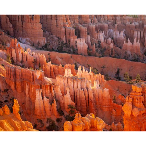 Bryce Canyon NP, Holidays, Southwest, Süd-Westen, USA, Urlaub, Vereinigte Staaten