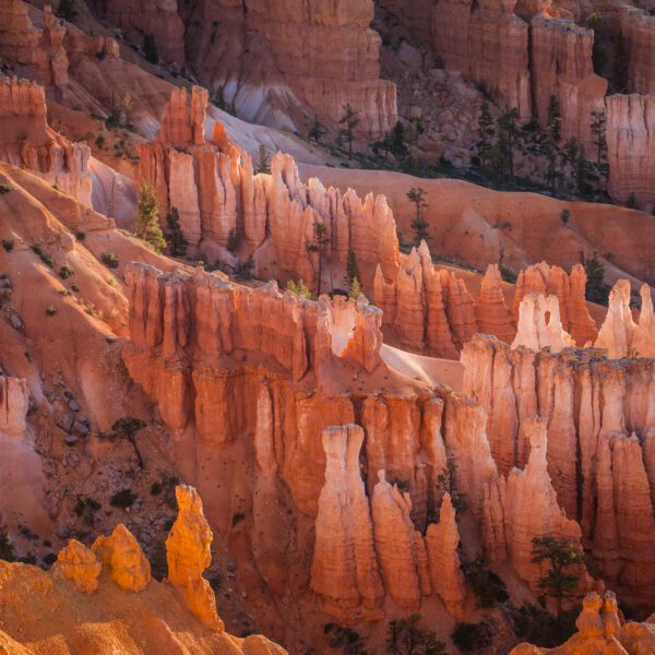 Bryce Canyon NP, Holidays, Southwest, Süd-Westen, USA, Urlaub, Vereinigte Staaten