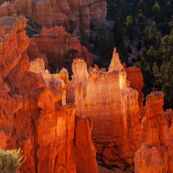 Bryce Canyon NP, Holidays, Southwest, Süd-Westen, USA, Urlaub, Vereinigte Staaten
