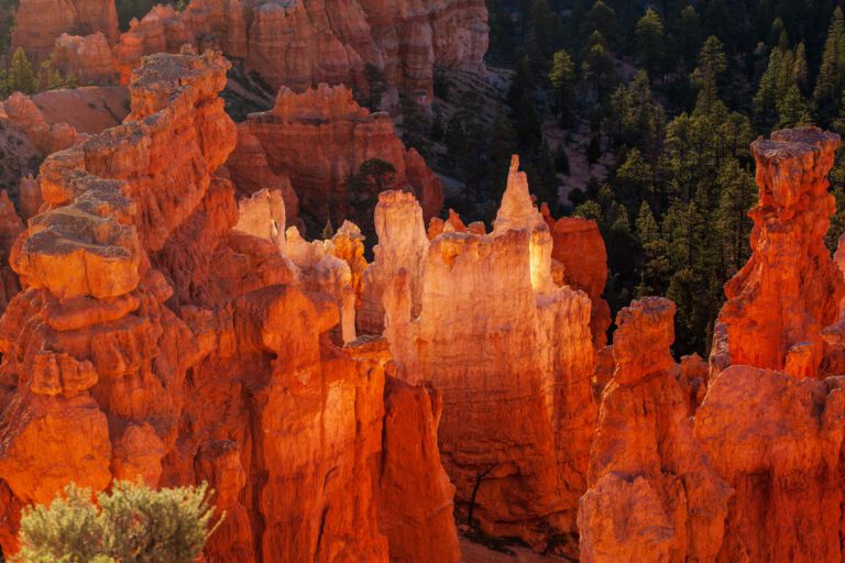 Bryce Canyon NP, Holidays, Southwest, Süd-Westen, USA, Urlaub, Vereinigte Staaten