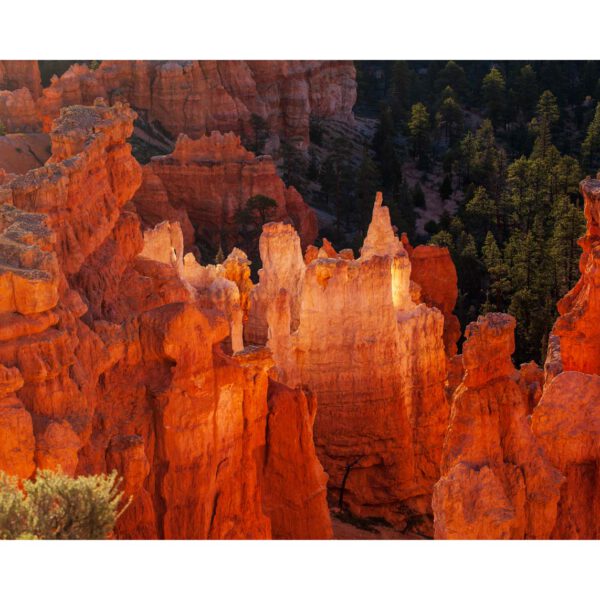 Bryce Canyon NP, Holidays, Southwest, Süd-Westen, USA, Urlaub, Vereinigte Staaten