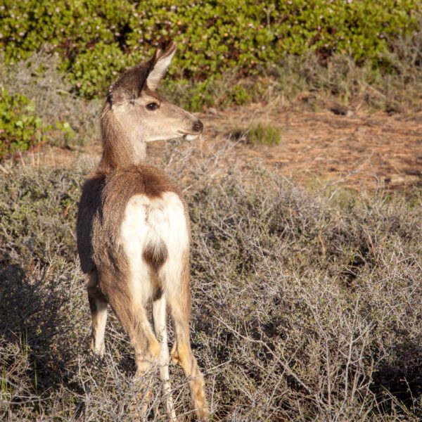 Bryce Canyon NP, Holidays, Southwest, Süd-Westen, USA, Urlaub, Vereinigte Staaten