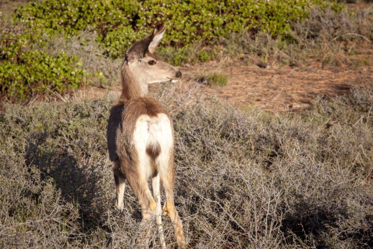 Bryce Canyon NP, Holidays, Southwest, Süd-Westen, USA, Urlaub, Vereinigte Staaten