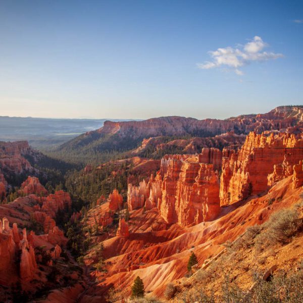 Bryce Canyon NP, Holidays, Southwest, Süd-Westen, USA, Urlaub, Vereinigte Staaten