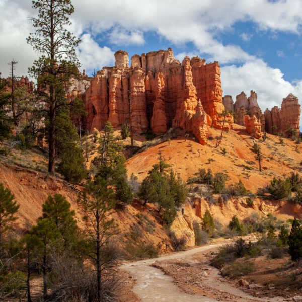 Bryce Canyon NP, Holidays, Southwest, Süd-Westen, USA, Urlaub, Vereinigte Staaten