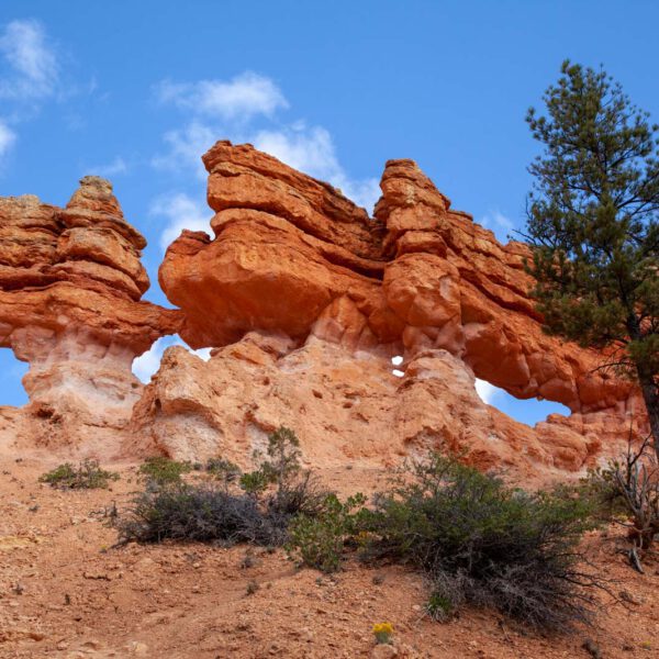 Bryce Canyon NP, Holidays, Southwest, Süd-Westen, USA, Urlaub, Vereinigte Staaten