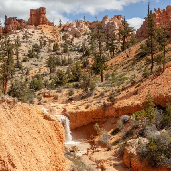 Bryce Canyon NP, Holidays, Southwest, Süd-Westen, USA, Urlaub, Vereinigte Staaten