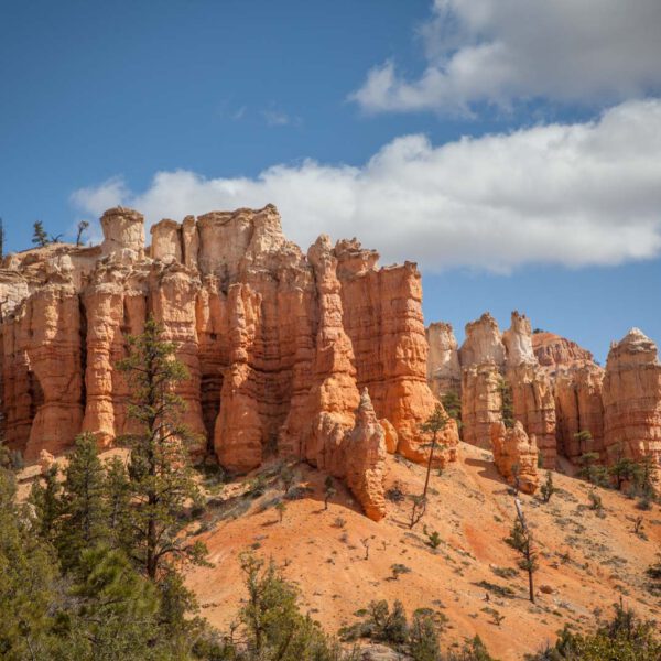 Bryce Canyon NP, Holidays, Southwest, Süd-Westen, USA, Urlaub, Vereinigte Staaten
