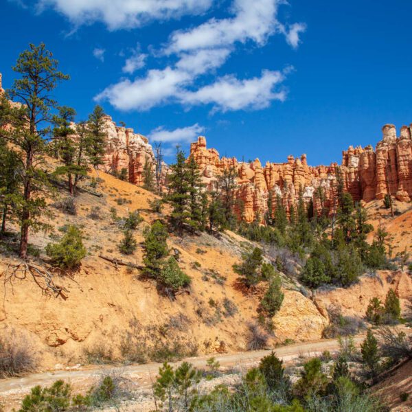 Bryce Canyon NP, Holidays, Southwest, Süd-Westen, USA, Urlaub, Vereinigte Staaten