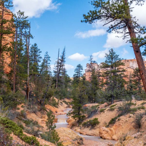 Bryce Canyon NP, Holidays, Southwest, Süd-Westen, USA, Urlaub, Vereinigte Staaten