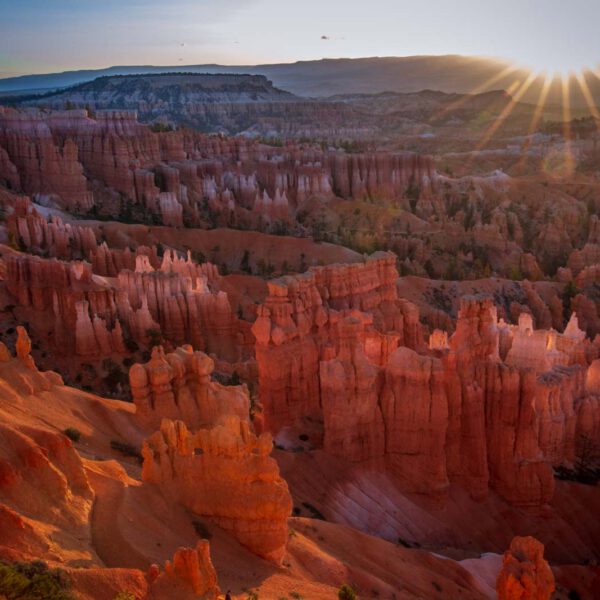 Bryce Canyon NP, Holidays, Southwest, Süd-Westen, USA, Urlaub, Vereinigte Staaten