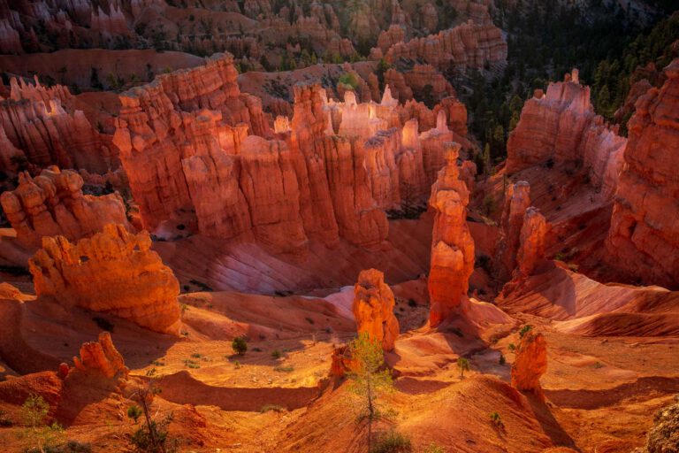 Bryce Canyon NP, Holidays, Southwest, Süd-Westen, USA, Urlaub, Vereinigte Staaten