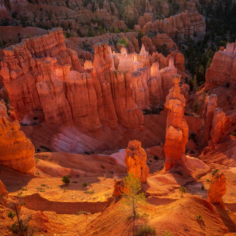 Bryce Canyon NP, Holidays, Southwest, Süd-Westen, USA, Urlaub, Vereinigte Staaten